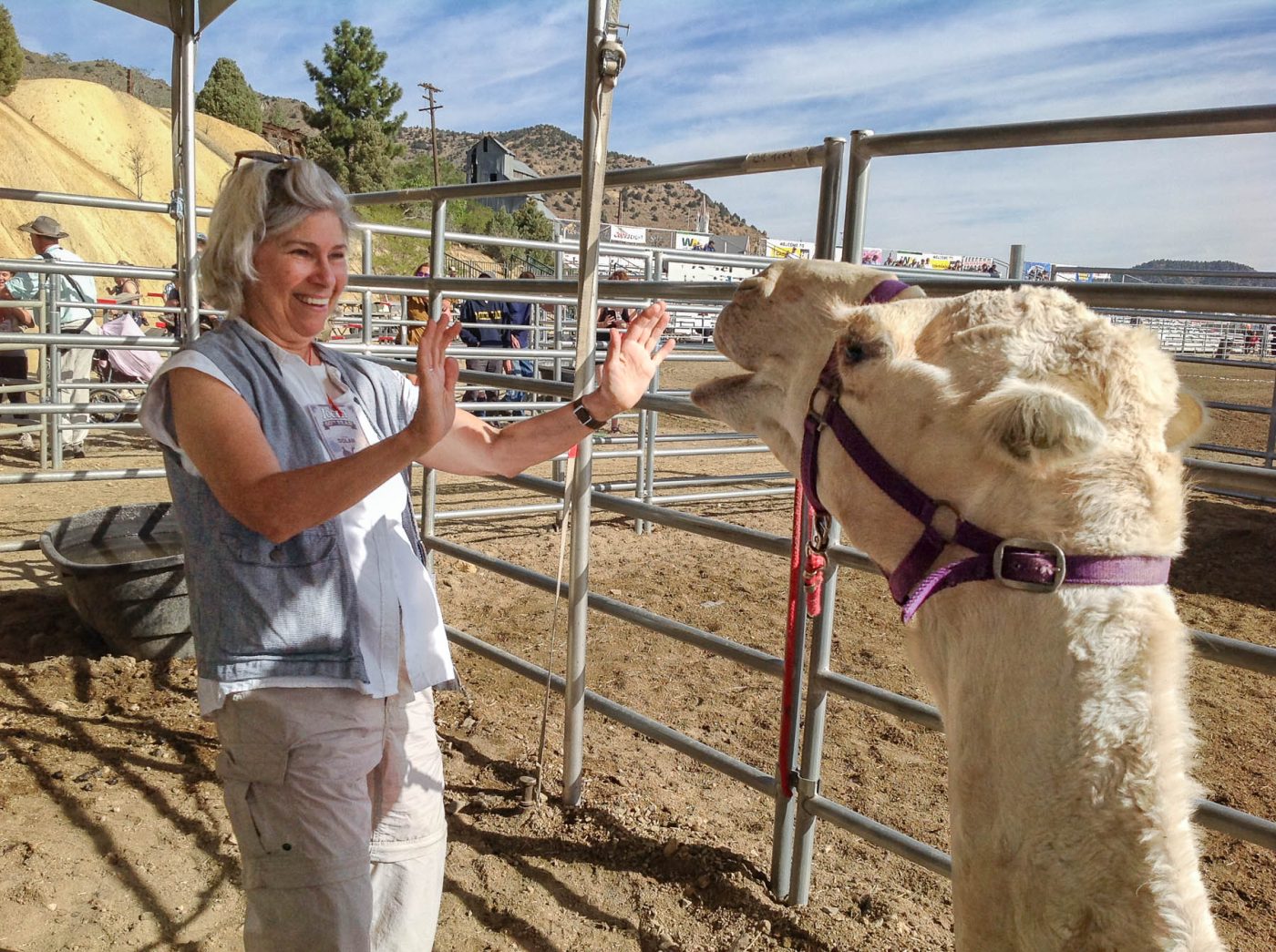 Averie Cohen holding her hands up to frame a camel